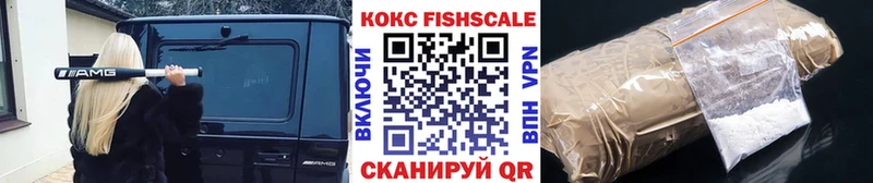 Купить закладки  Егорьевск  COCAIN 98% 