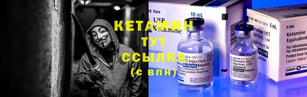 шишки Верея