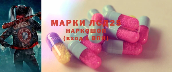 шишки Верея