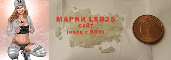 шишки Верея
