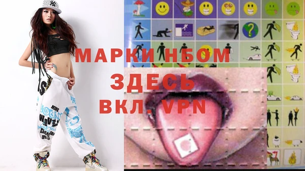 шишки Верея