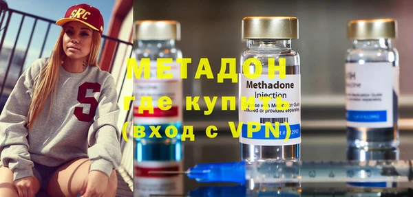 шишки Верея