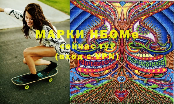 шишки Верея